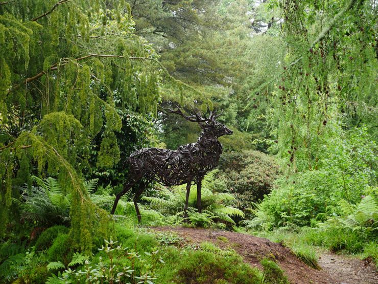 Fern, trees and sculpture of a stag